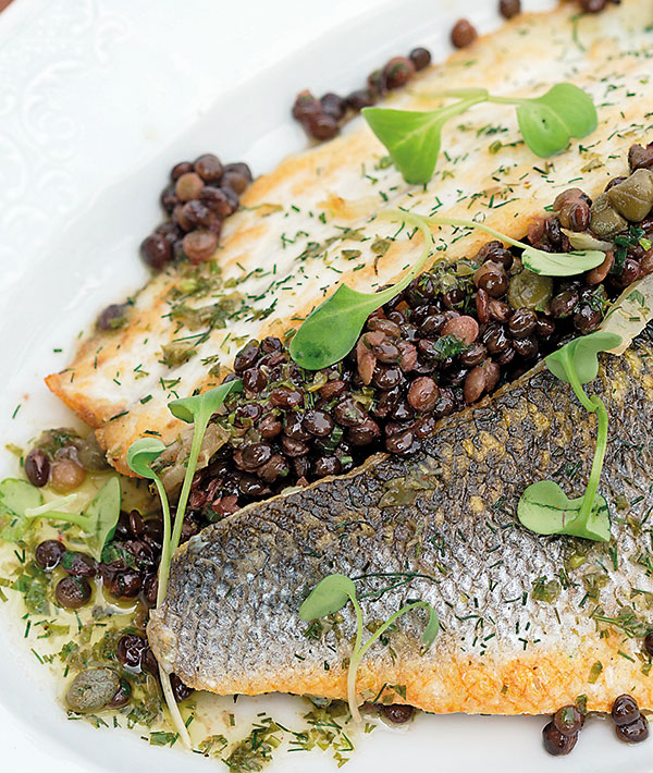 Sea Bass - Taste & Flavors