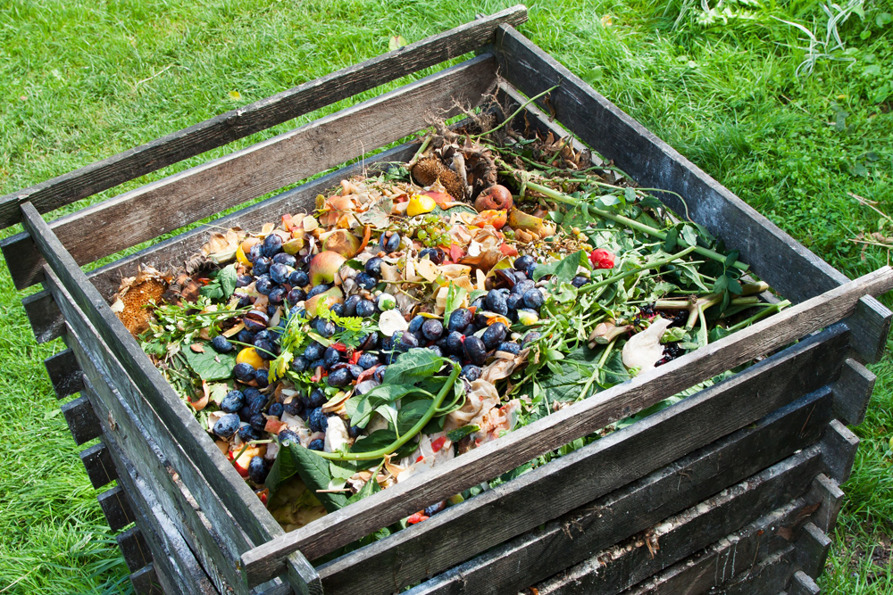 Compost