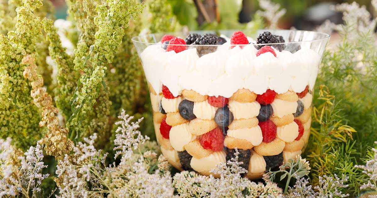 taste-and-flavors-recipe-summer-triffle-fb2