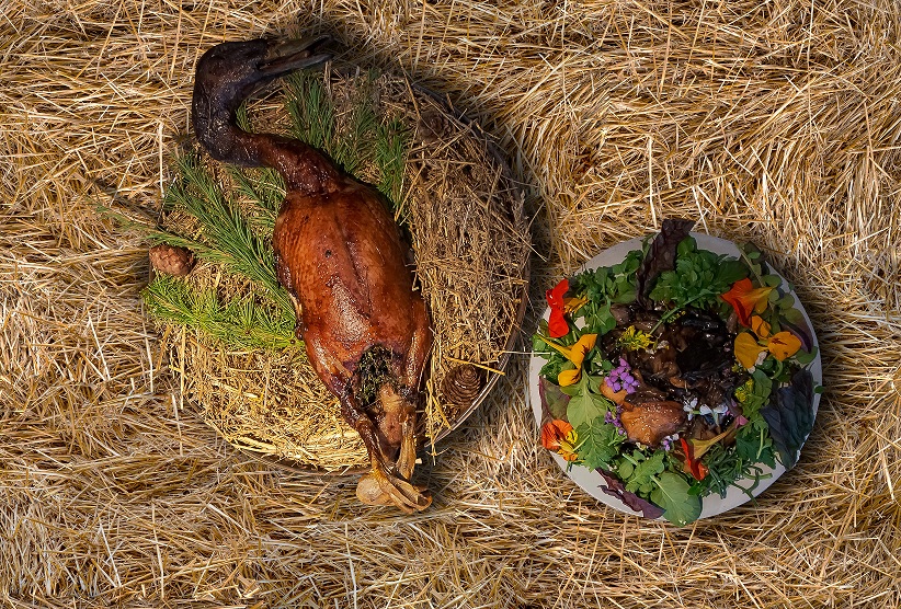 Roasted Wild Duck & Mushrooms recipe by Chef Tarek Alameddine