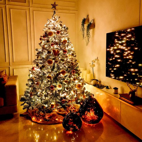 christmas-tree-home