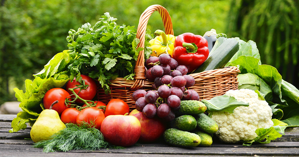 Microgreens launched in Lebanon by AgriGrow