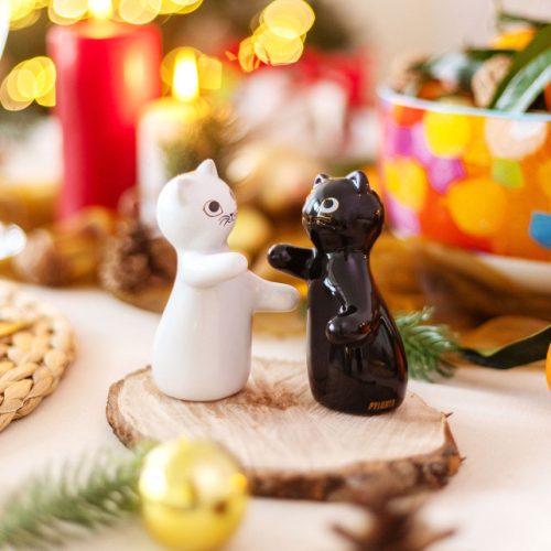 salt-and-pepper-shaker-hugcats (1)