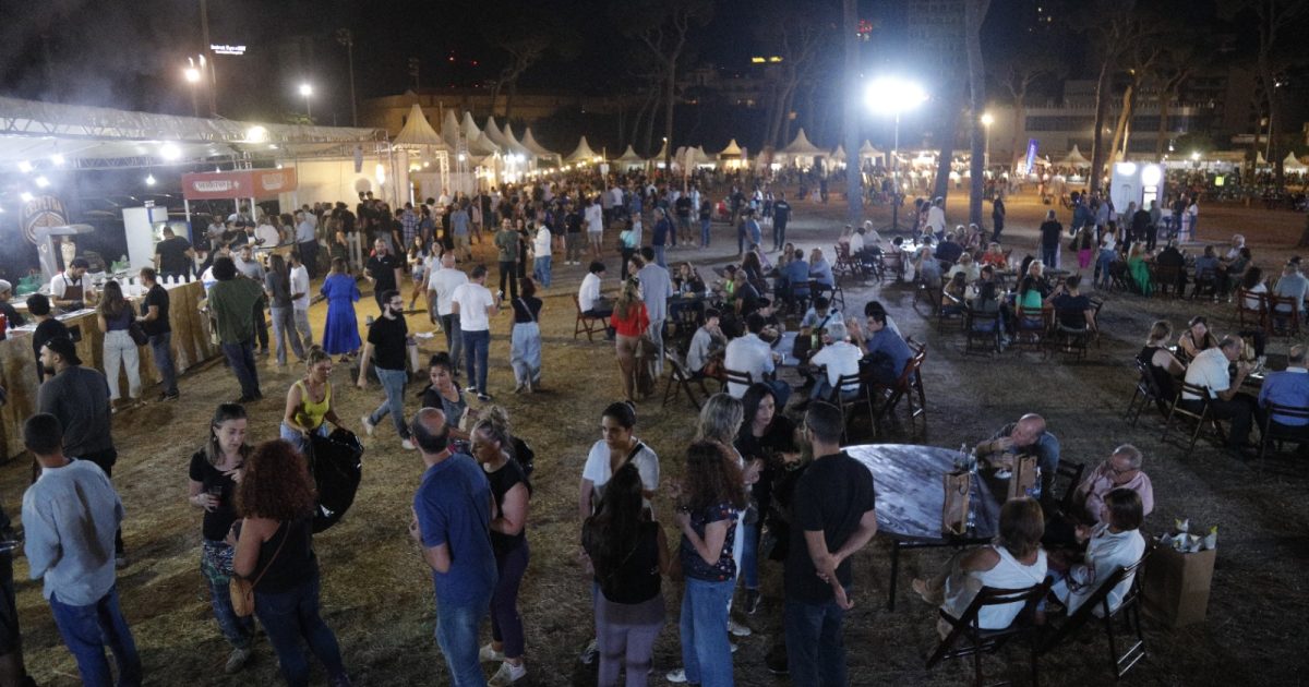 Vinifest 4