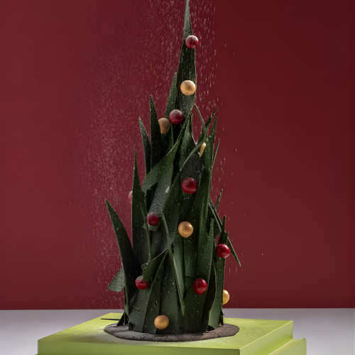 Buches de Noël (2)