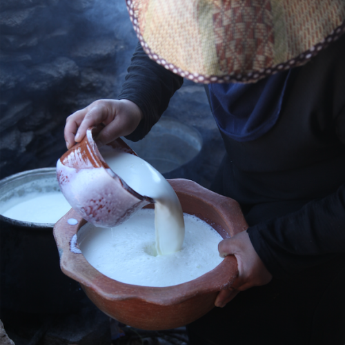 Screen Shot 2025-12-11 at 12.06.00 PM Screen Shot 2025-12-11 at 12.06.00 PM